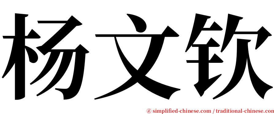杨文钦 serif font