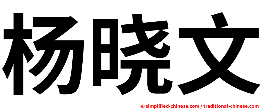 杨晓文