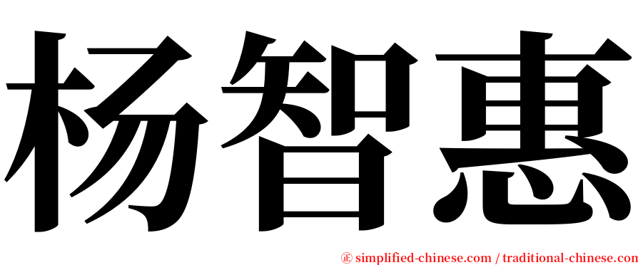 杨智惠 serif font
