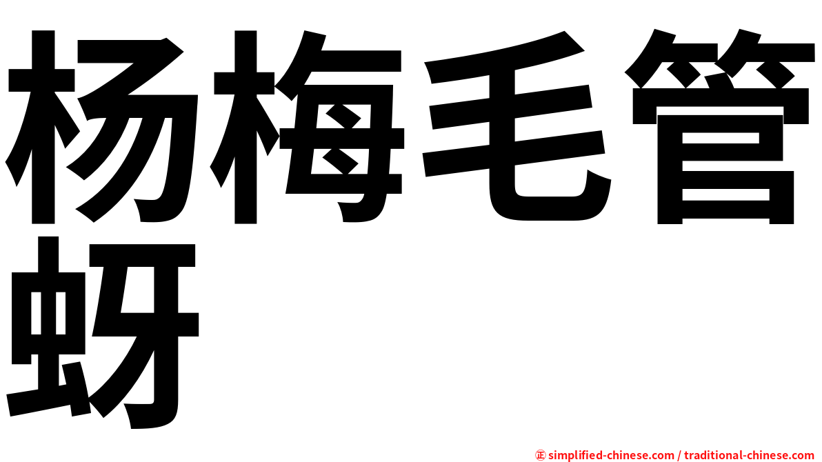 杨梅毛管蚜