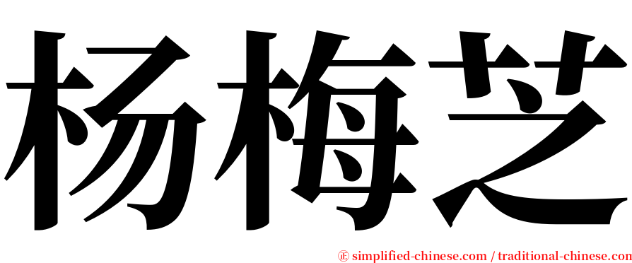 杨梅芝 serif font