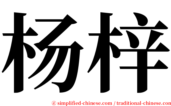 杨梓 serif font