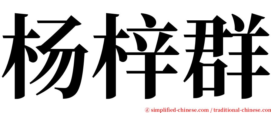 杨梓群 serif font