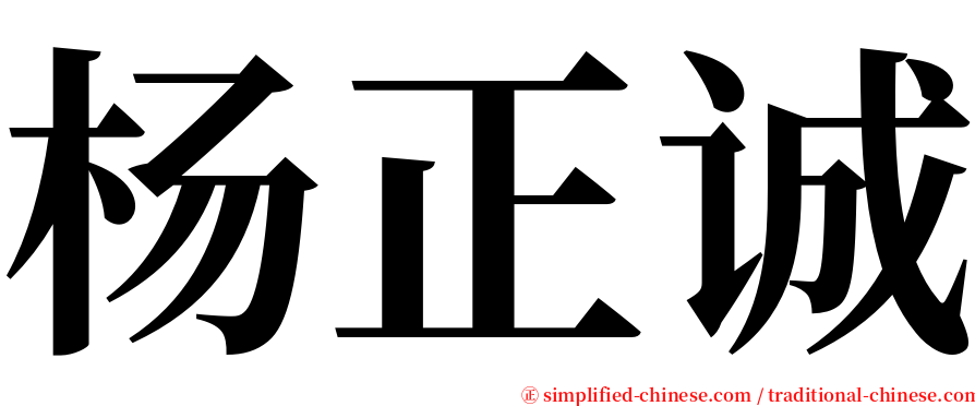 杨正诚 serif font