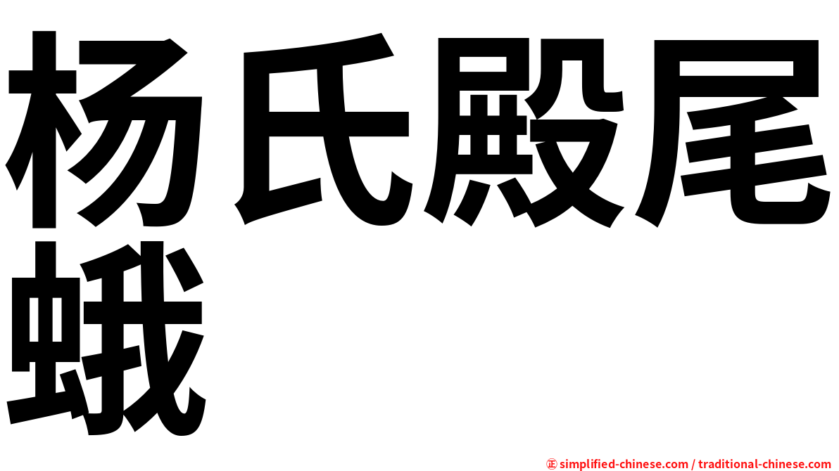 杨氏殿尾蛾