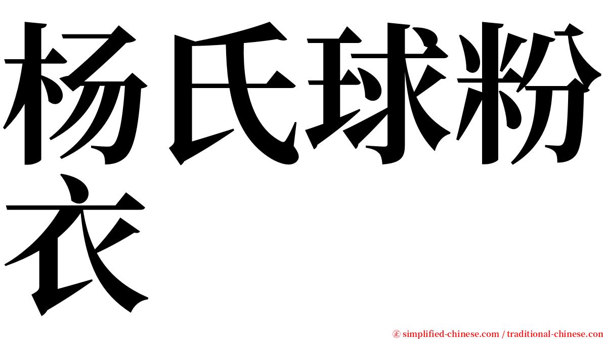 杨氏球粉衣 serif font