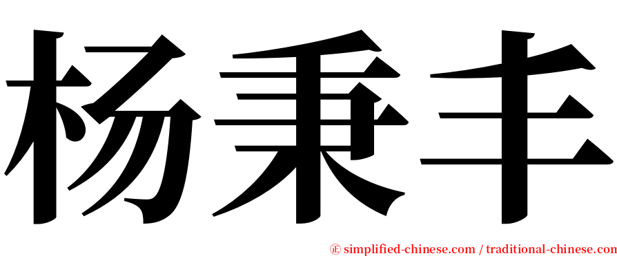 杨秉丰 serif font