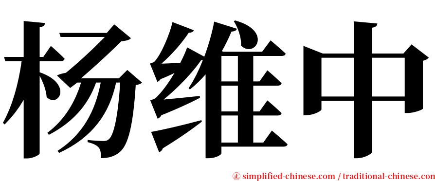 杨维中 serif font