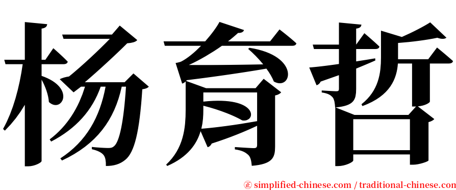杨育哲 serif font
