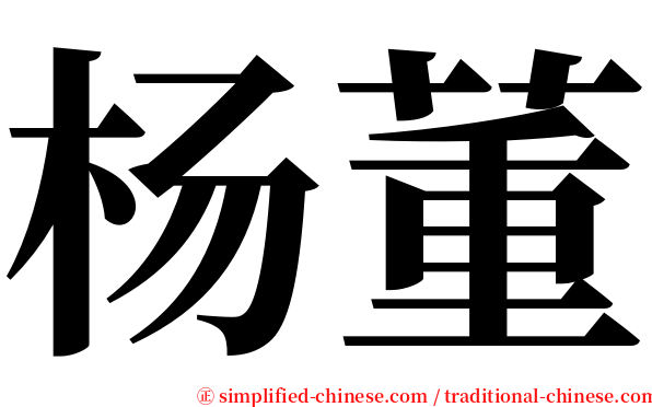 杨董 serif font