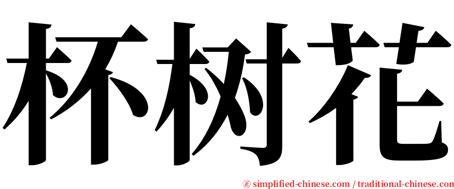 杯树花 serif font