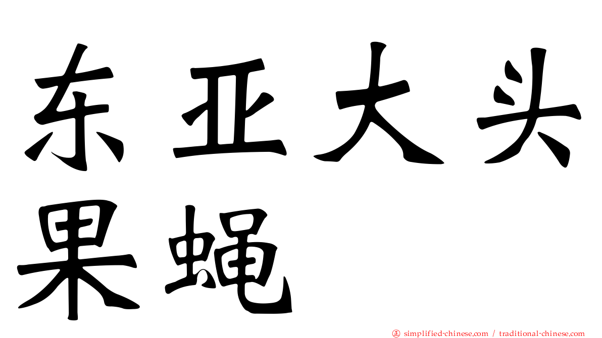东亚大头果蝇