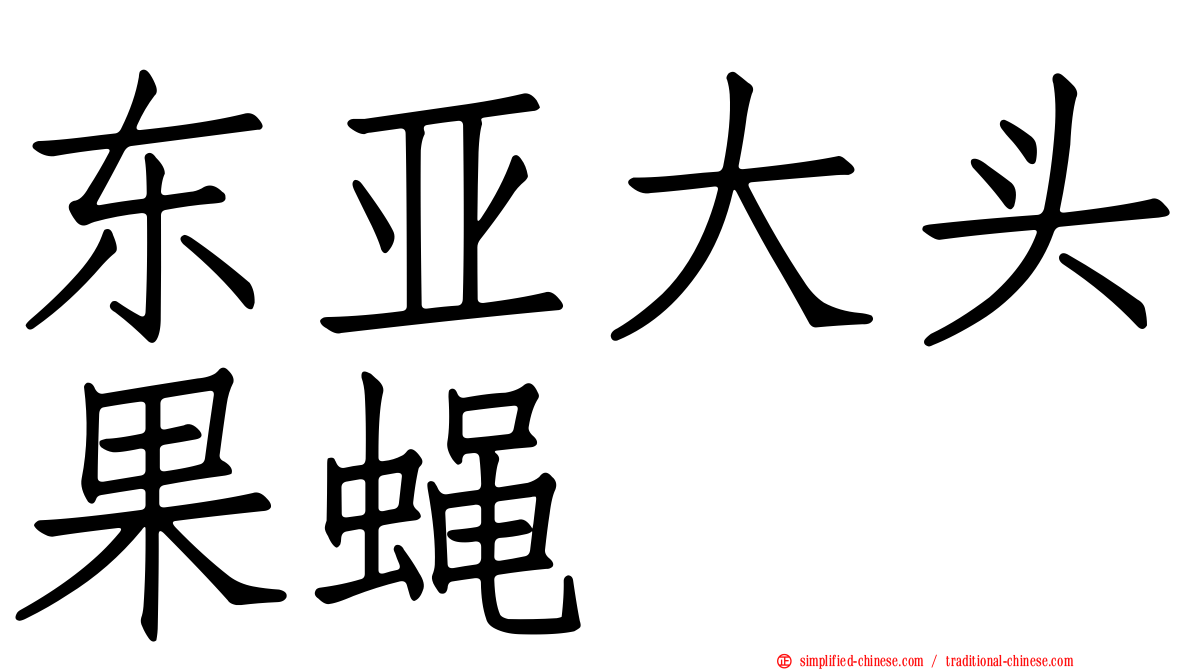 东亚大头果蝇