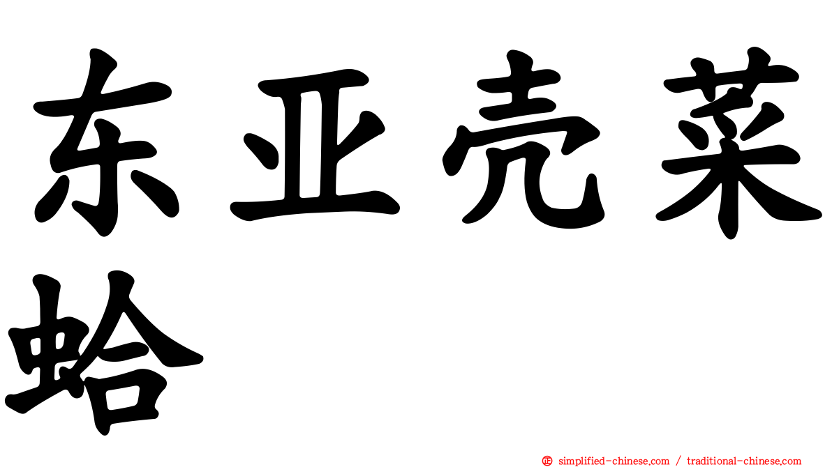 东亚壳菜蛤