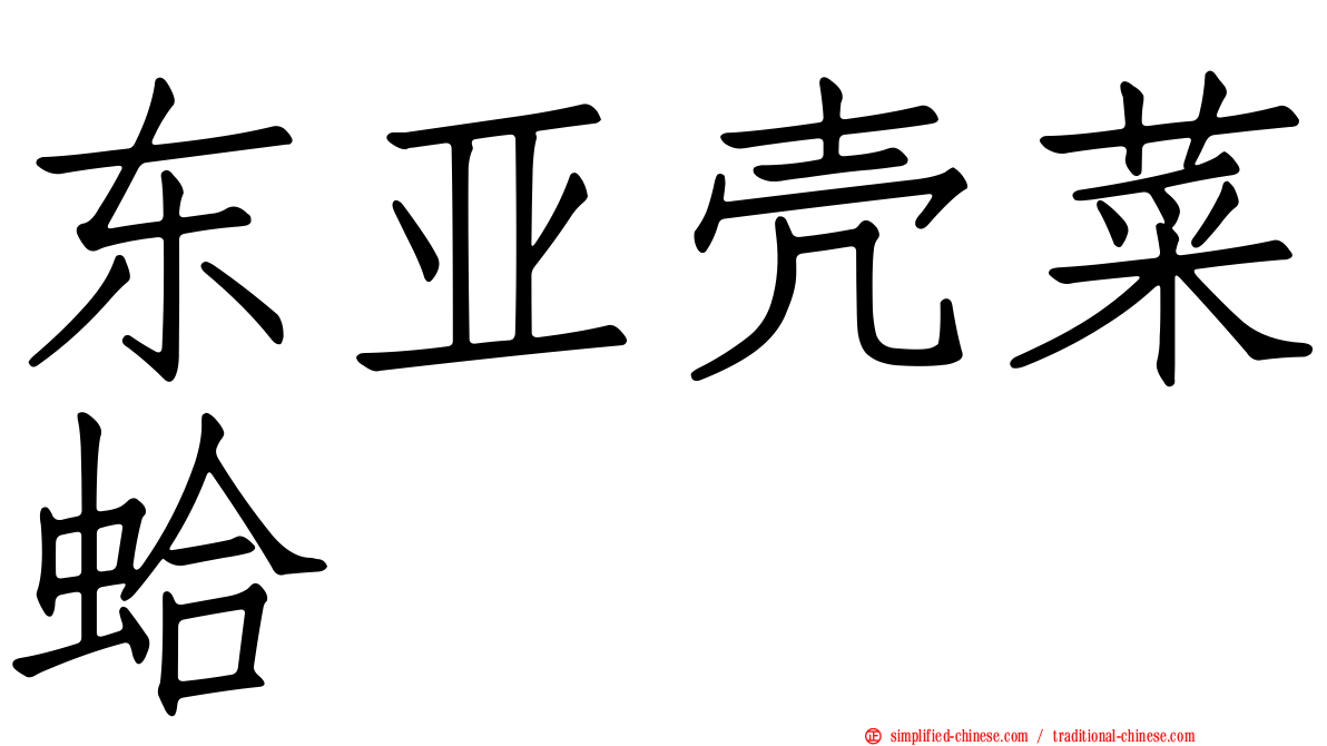东亚壳菜蛤