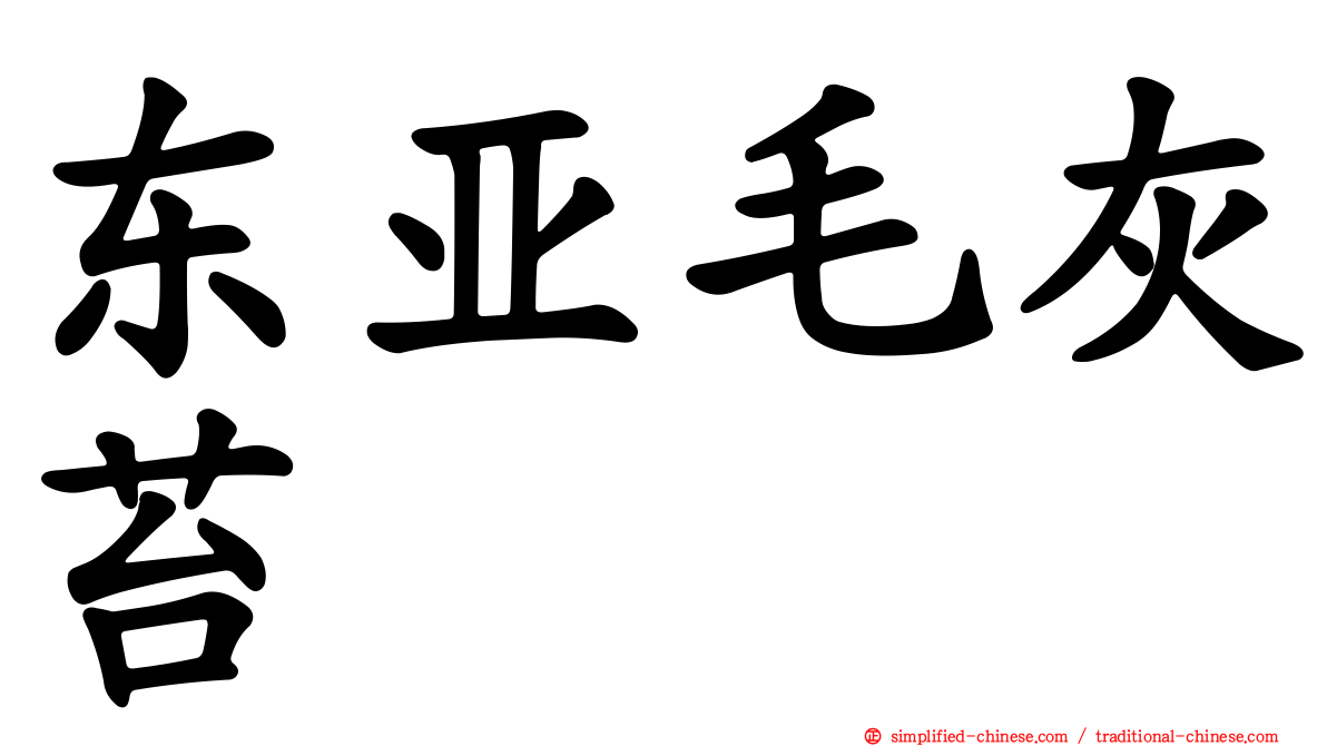 东亚毛灰苔
