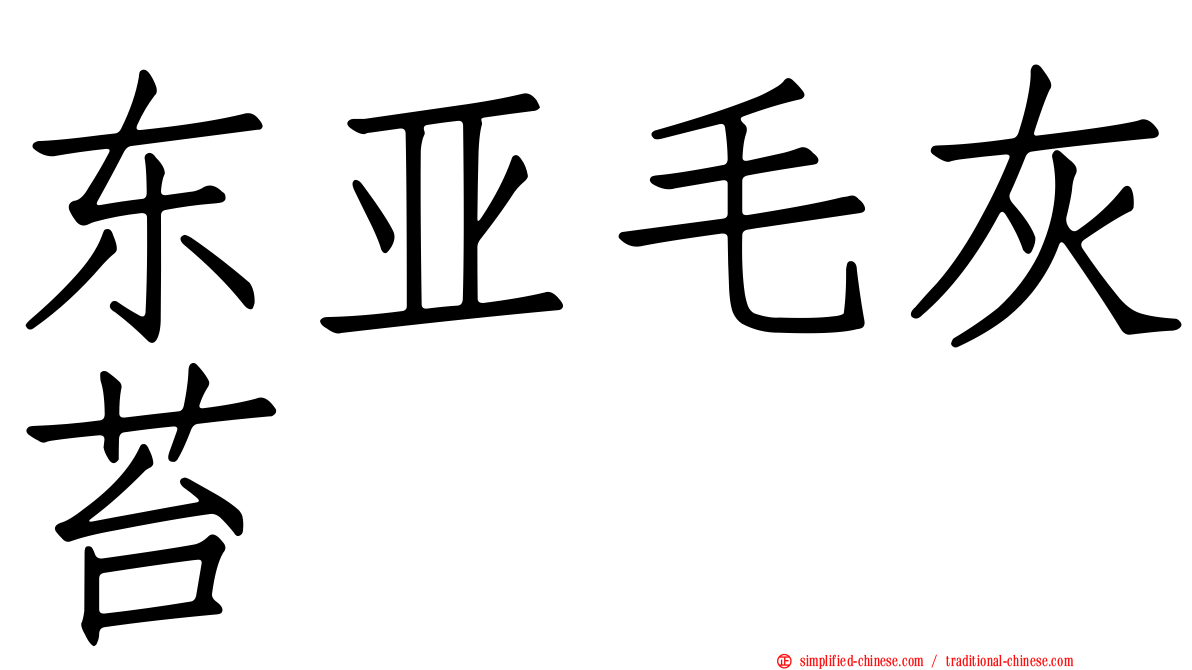 东亚毛灰苔