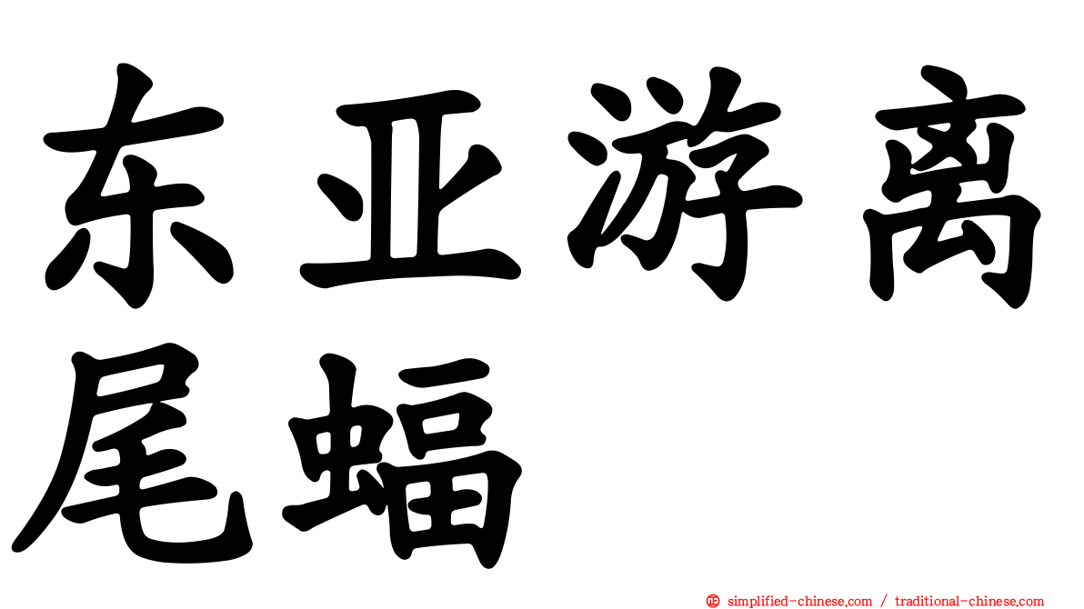 东亚游离尾蝠