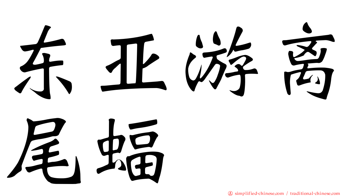 东亚游离尾蝠