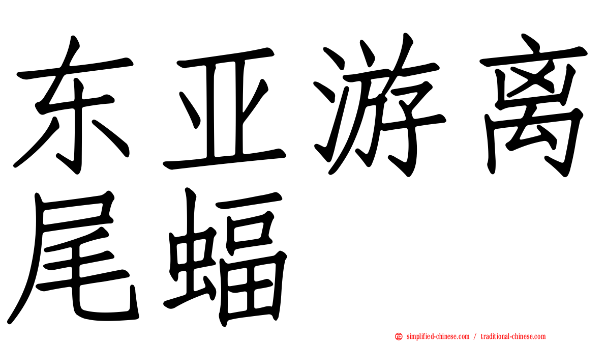 东亚游离尾蝠