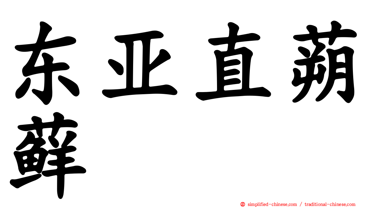 东亚直蒴藓