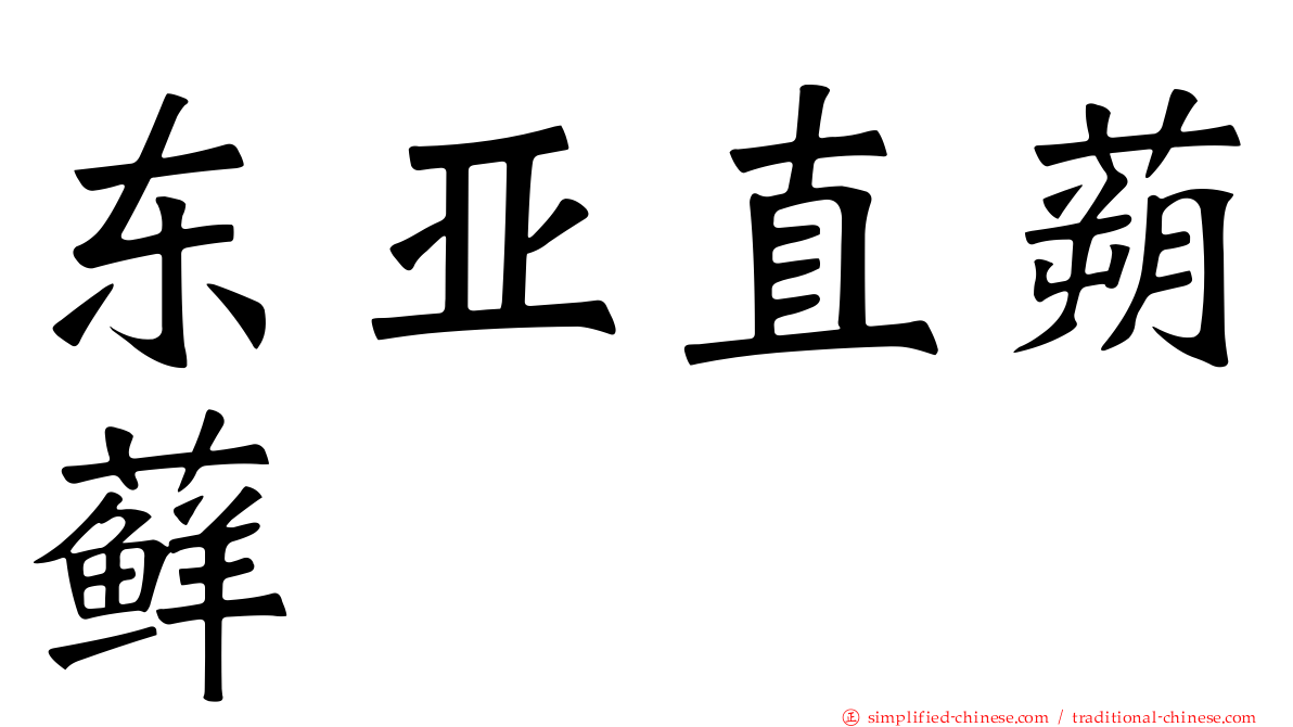 东亚直蒴藓