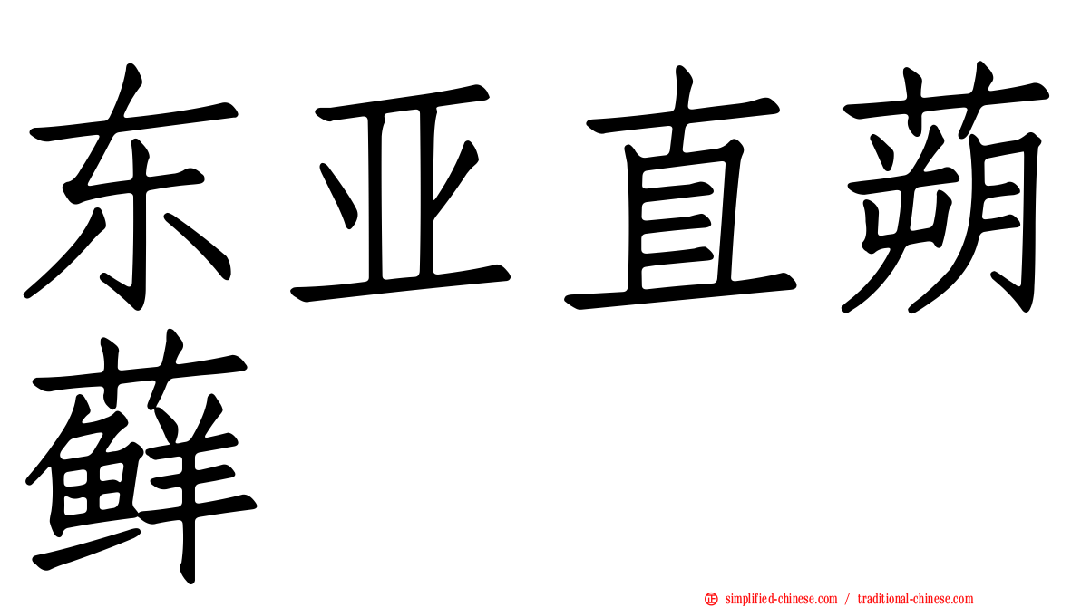东亚直蒴藓