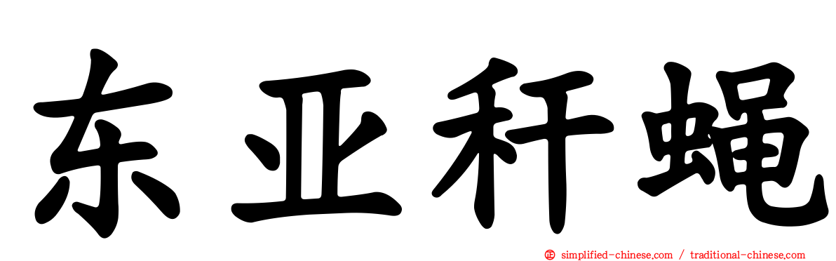 东亚秆蝇