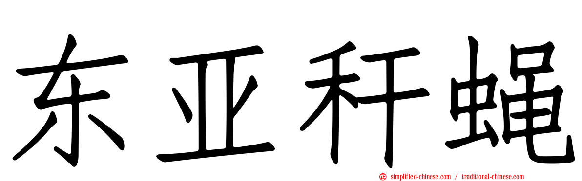东亚秆蝇