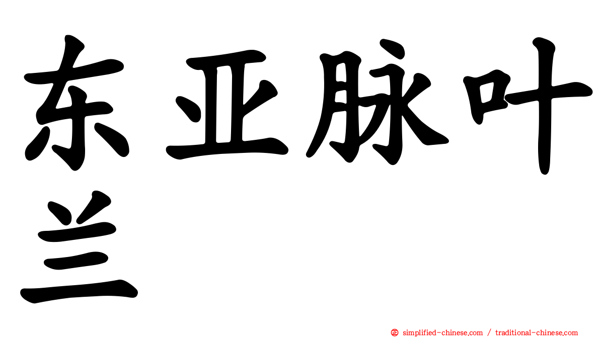 东亚脉叶兰