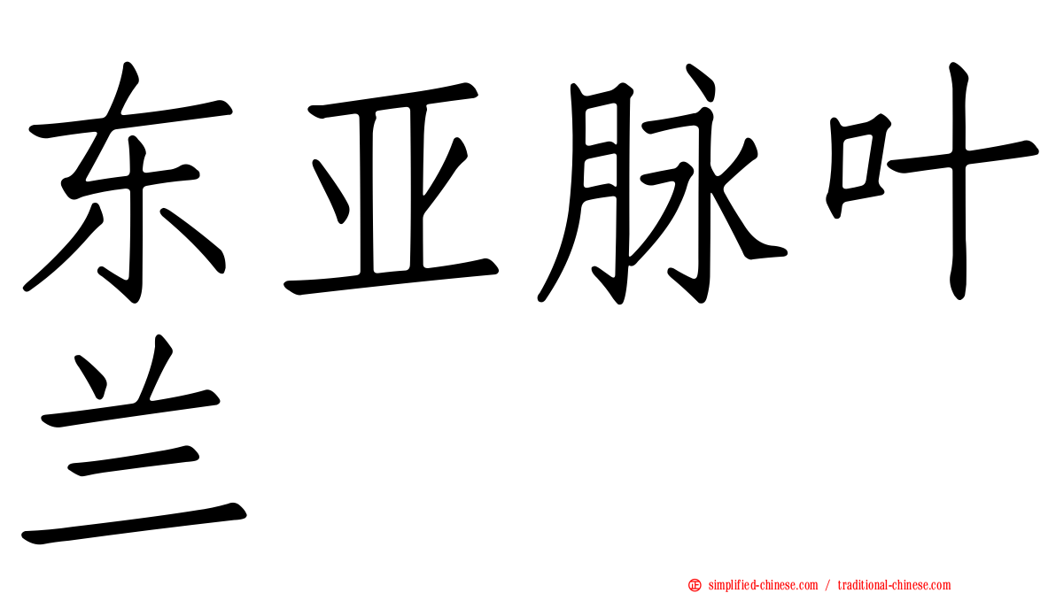 东亚脉叶兰
