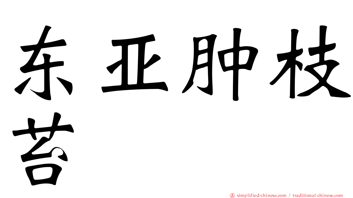 东亚肿枝苔