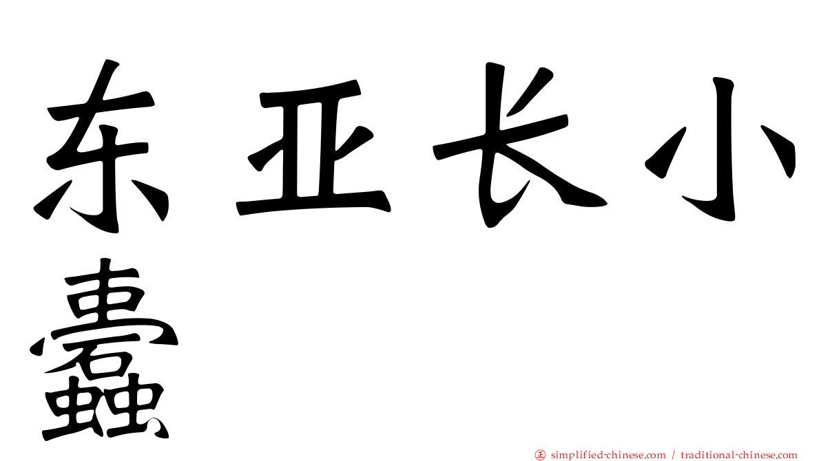 东亚长小蠹