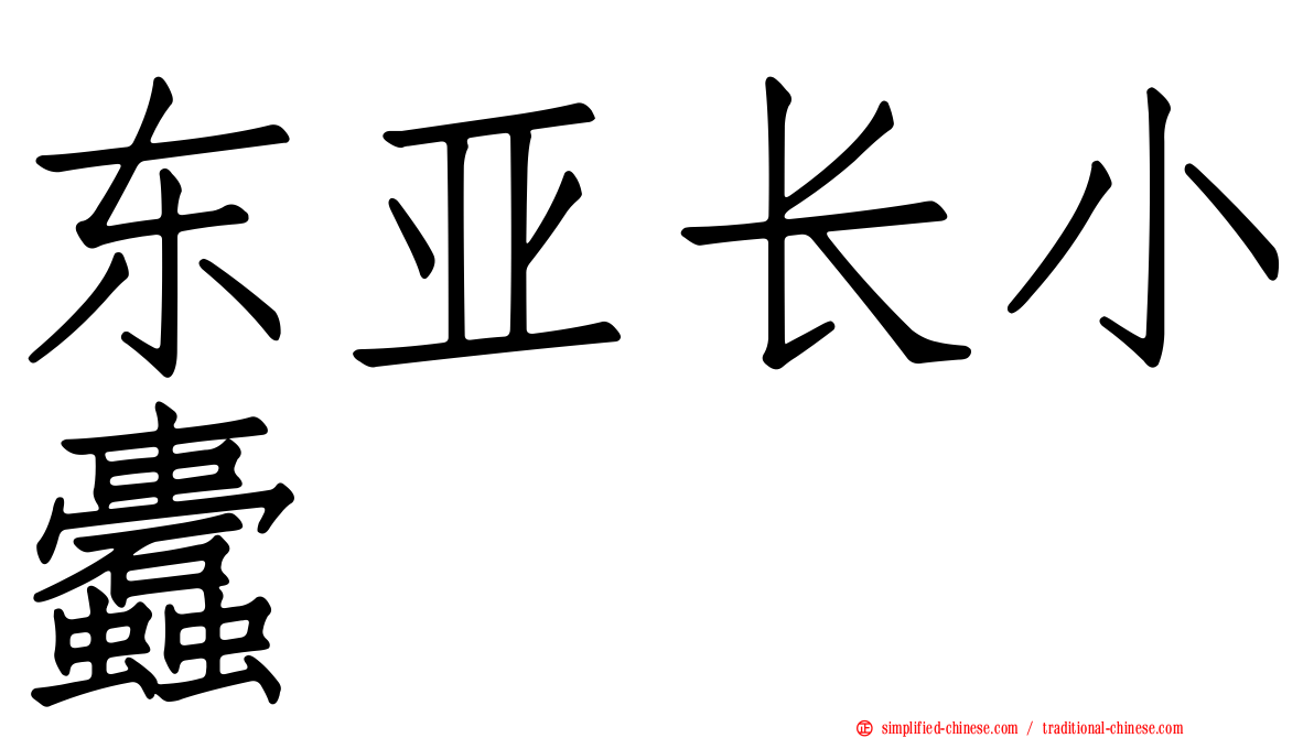 东亚长小蠹