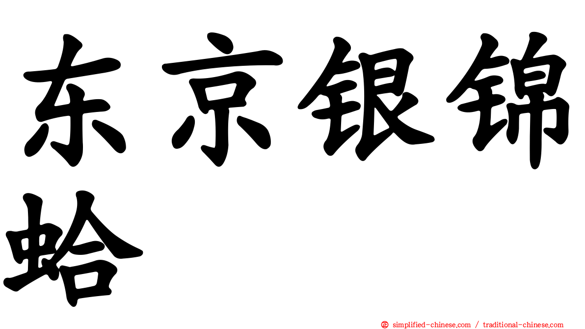 东京银锦蛤