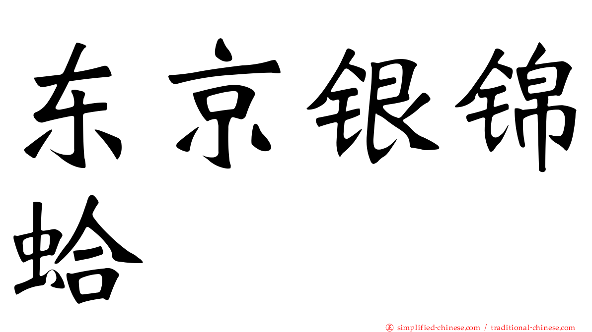 东京银锦蛤