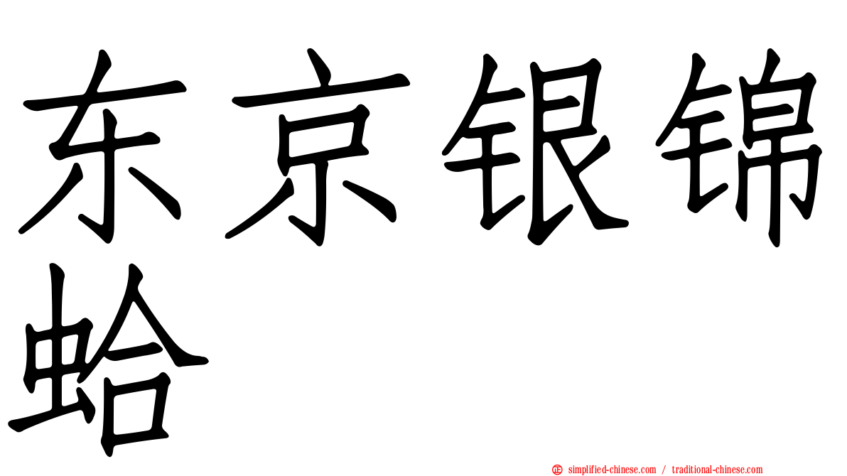 东京银锦蛤