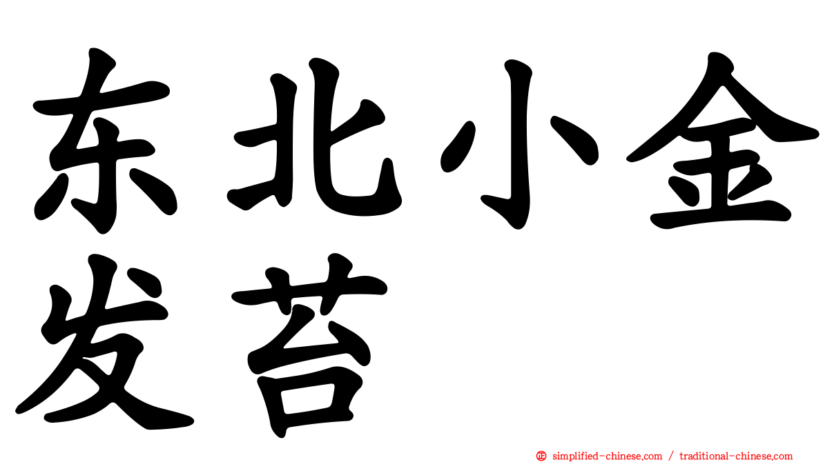 东北小金发苔