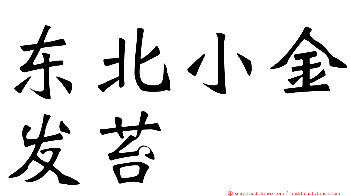 东北小金发苔