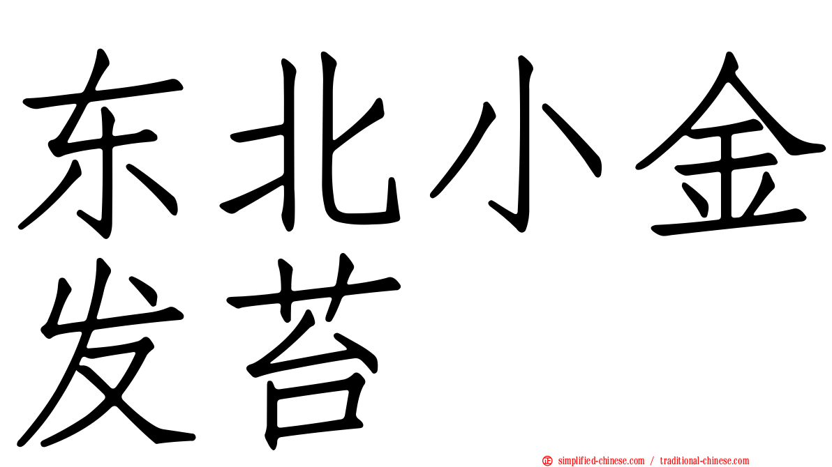 东北小金发苔