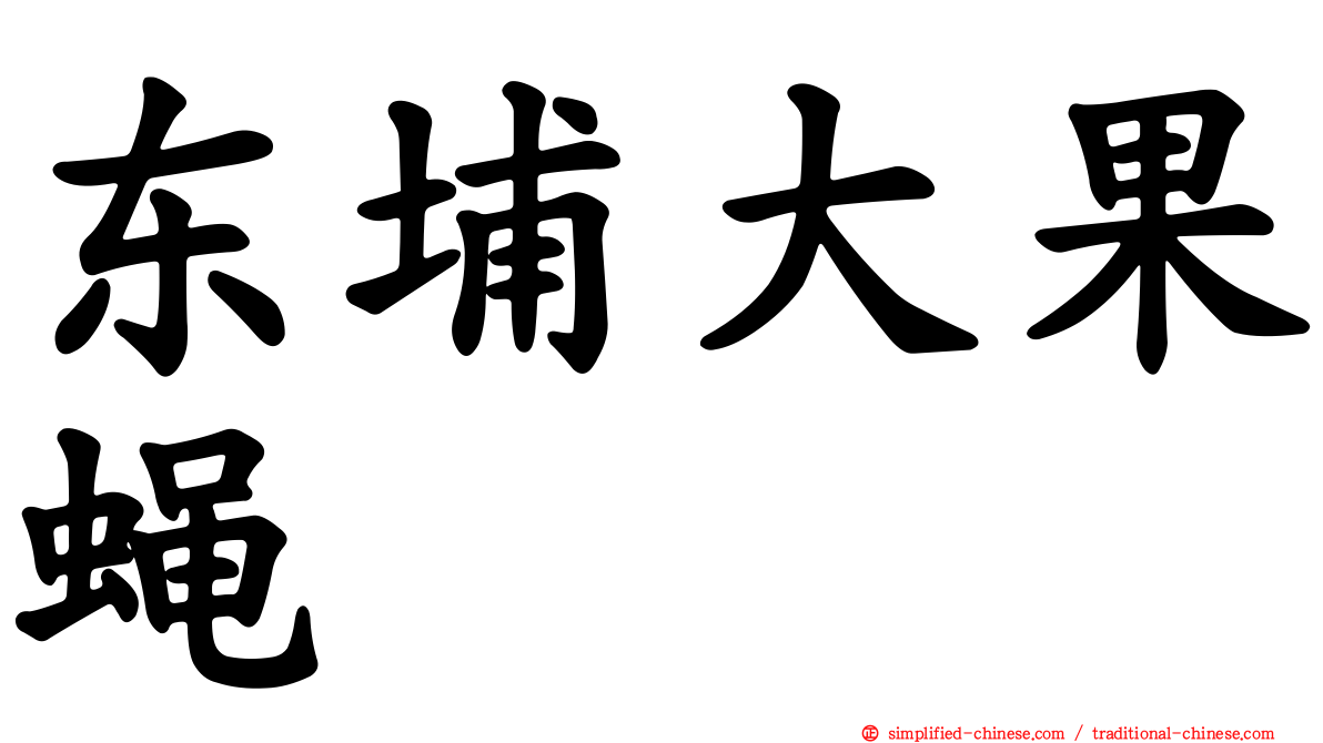 东埔大果蝇