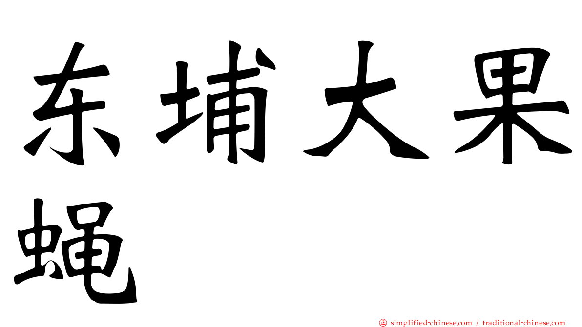 东埔大果蝇