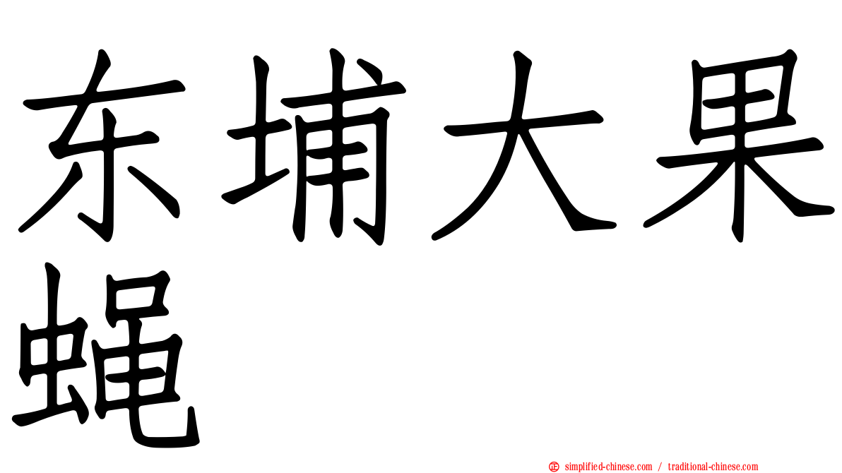 东埔大果蝇