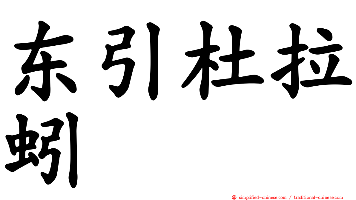 东引杜拉蚓
