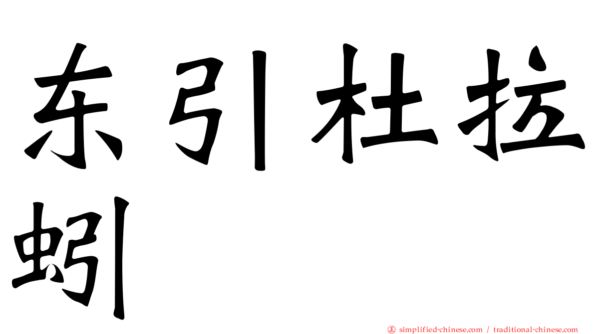 东引杜拉蚓