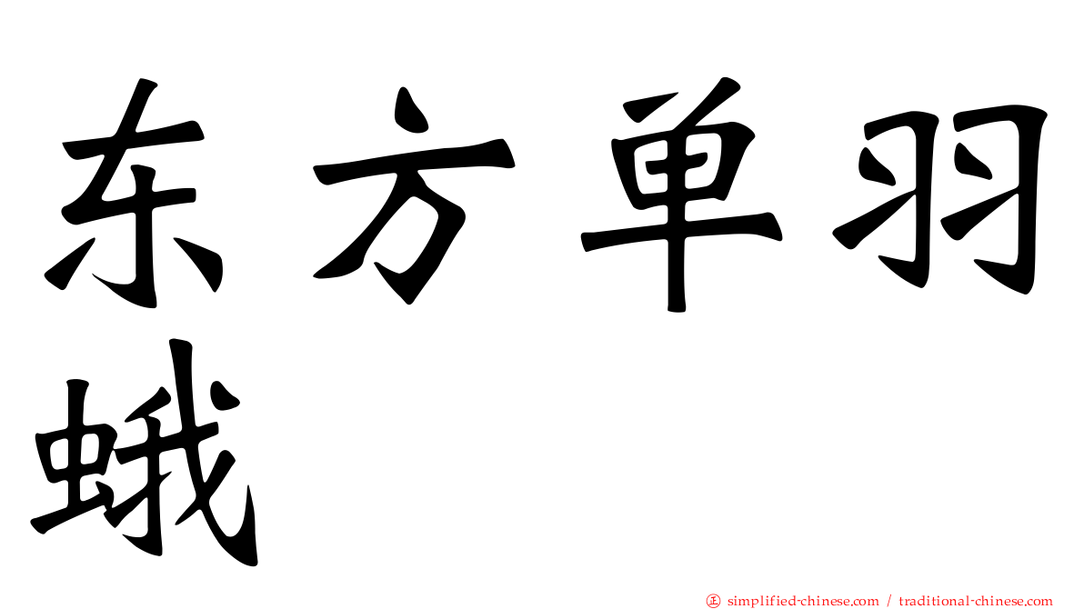 东方单羽蛾