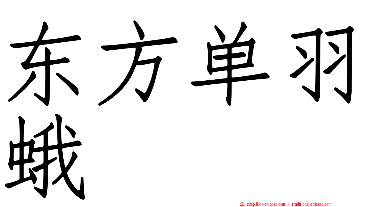 东方单羽蛾