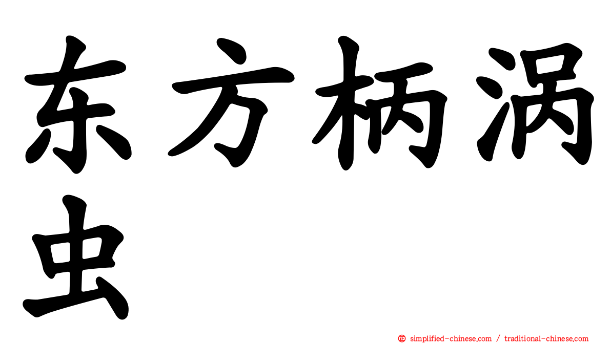 东方柄涡虫