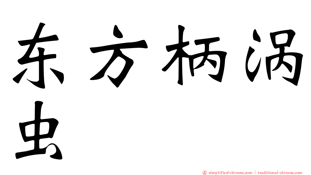 东方柄涡虫