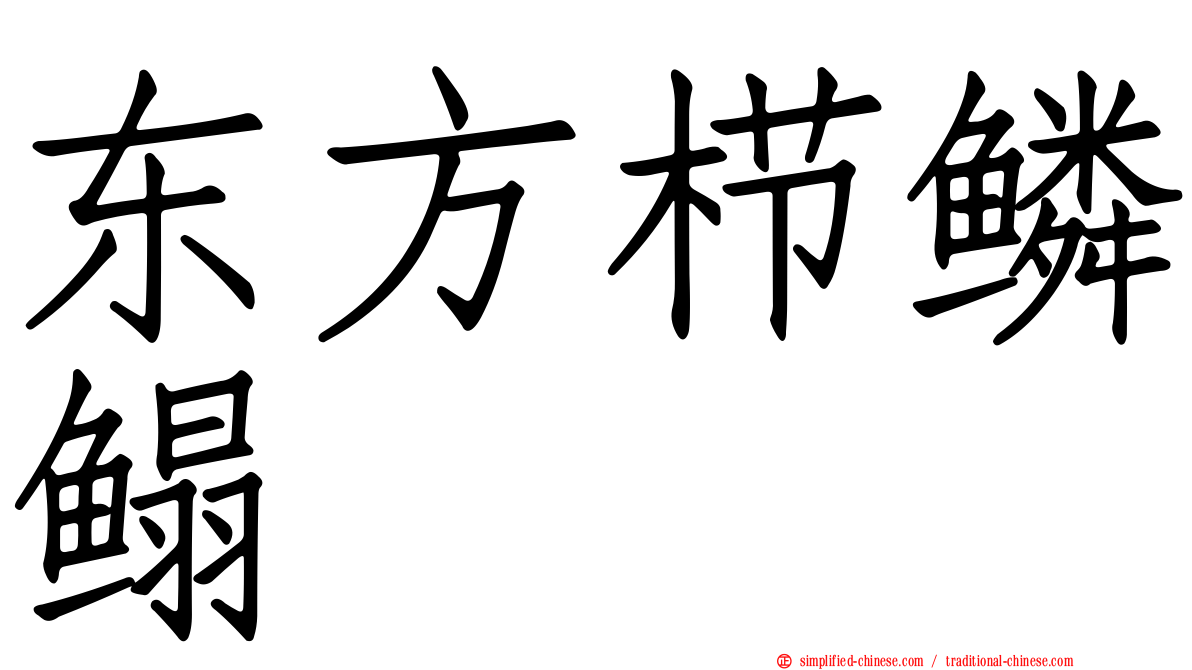 东方栉鳞鳎